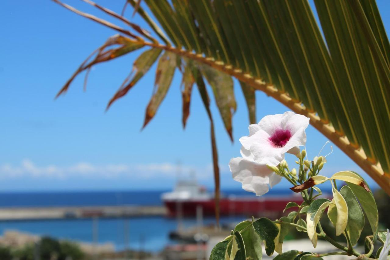 Terraza Del Atlantico, Un Oasis En La Ciudad Διαμέρισμα Σάντα Κρουζ Τενερίφης Εξωτερικό φωτογραφία