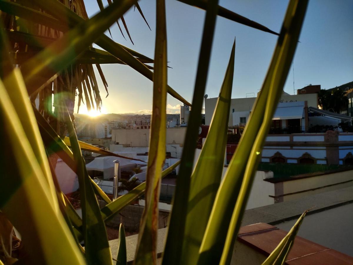Terraza Del Atlantico, Un Oasis En La Ciudad Διαμέρισμα Σάντα Κρουζ Τενερίφης Εξωτερικό φωτογραφία